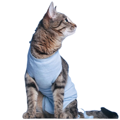 Remove background project (3).png